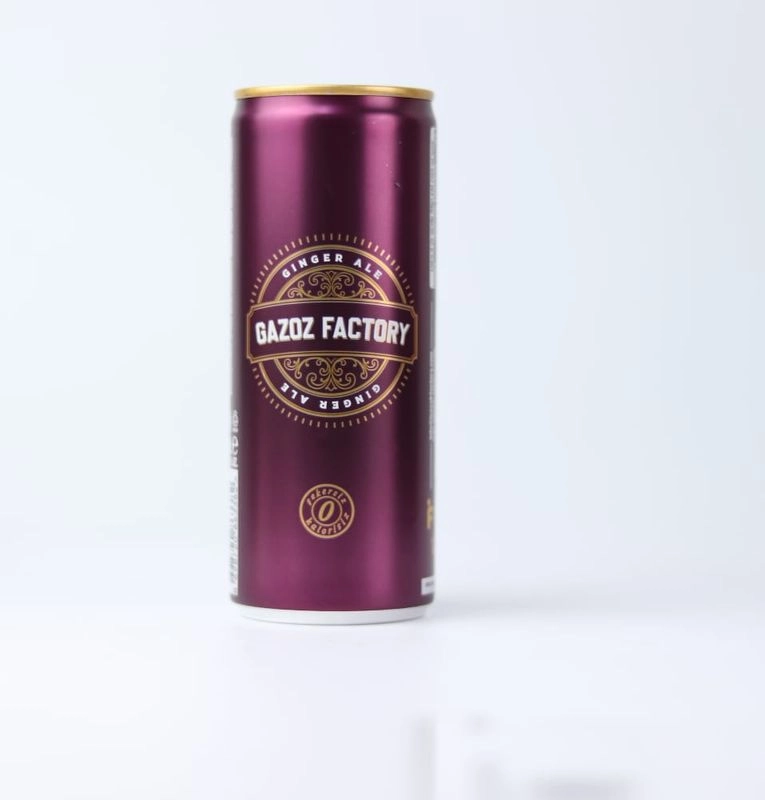 GAZOZ FACTORY KUTU 250ML